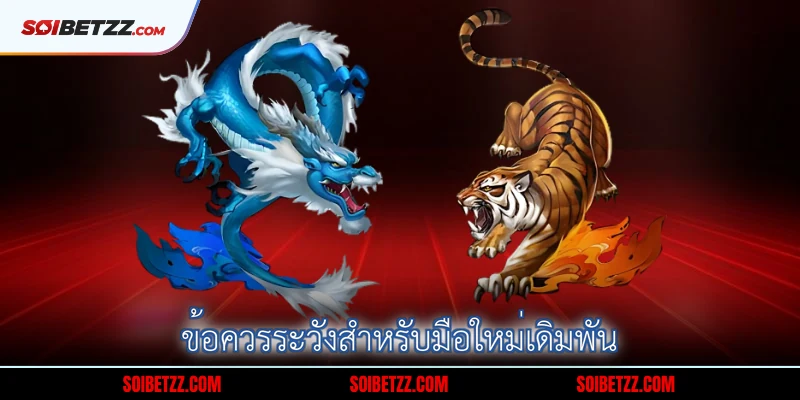 ข้อควรระวังสำหรับมือใหม่เดิมพัน