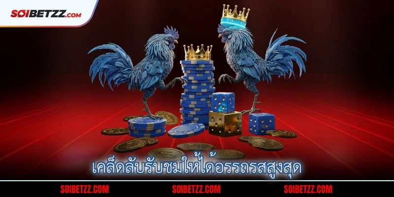 เคล็ดลับรับชมให้ได้อรรถรสสูงสุด